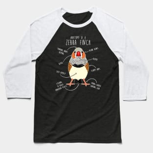 Zebra Finch Anatomy Baseball T-Shirt